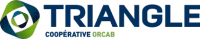 logo-triangle-37-orcab